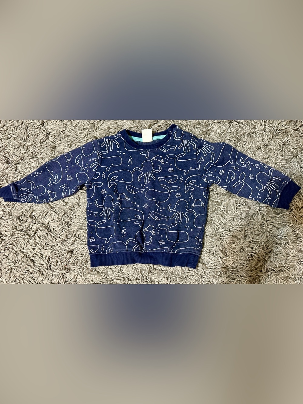 Gymboree Navy Sea Creatures Sweatshirt